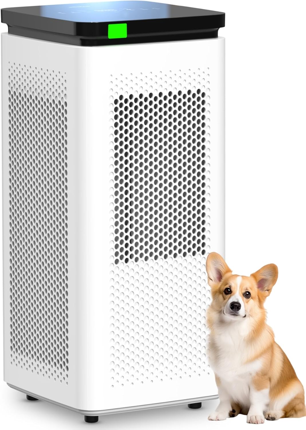 SIESEAN Large-Room Purifier